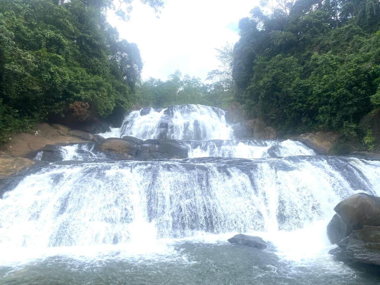 Sinharaja Riverside Денияя Екстериор снимка